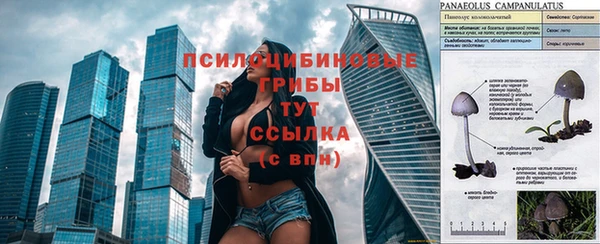 Альфа ПВП Краснослободск