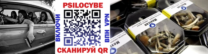 Псилоцибиновые грибы ЛСД  Александровское 